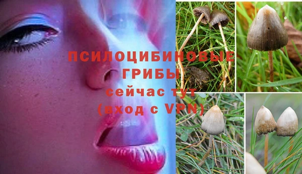 mdpv Белокуриха