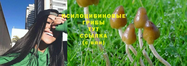 mdpv Белокуриха