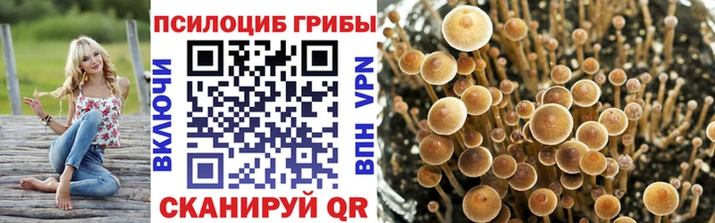 KRAKEN ТОР  Богданович  Галлюциногенные грибы мицелий  магазин продажи  